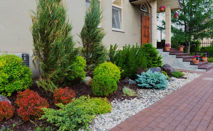 front garden of conifers and flowers