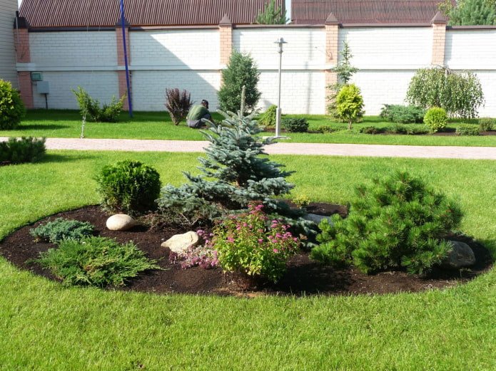 green island with spruce