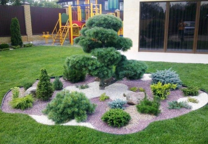 green island with pine