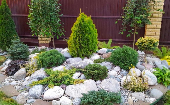 rounded rockery with conifers