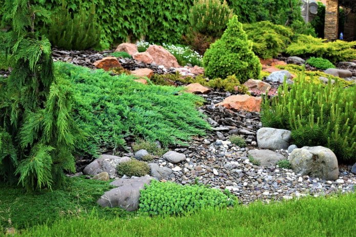 elongated rockery with conifers