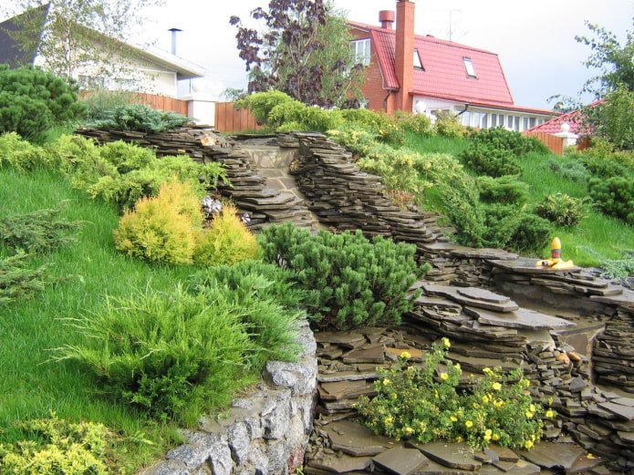 terraced slope with conifers and stairs