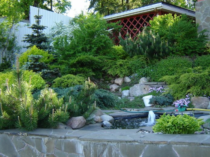 artificial pond with conifers and a fountain
