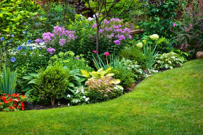 summer flowering mixborder