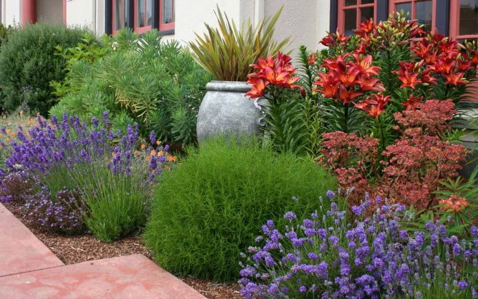 circular mixborder