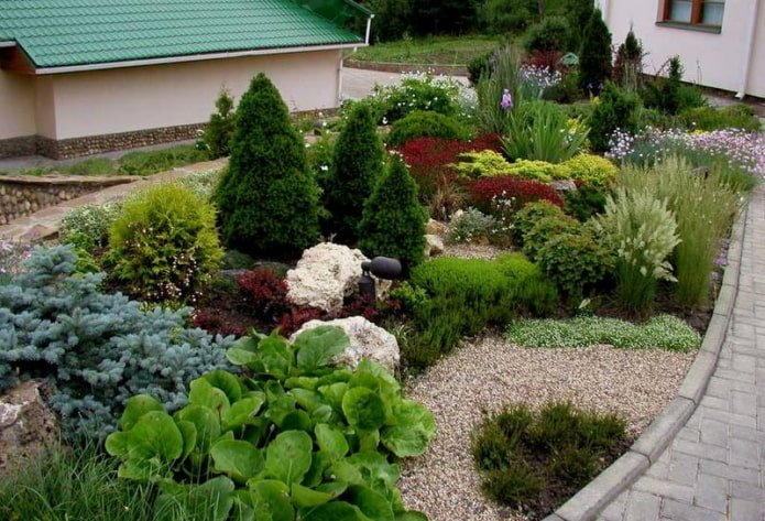 flowerbed with conifers and perennials