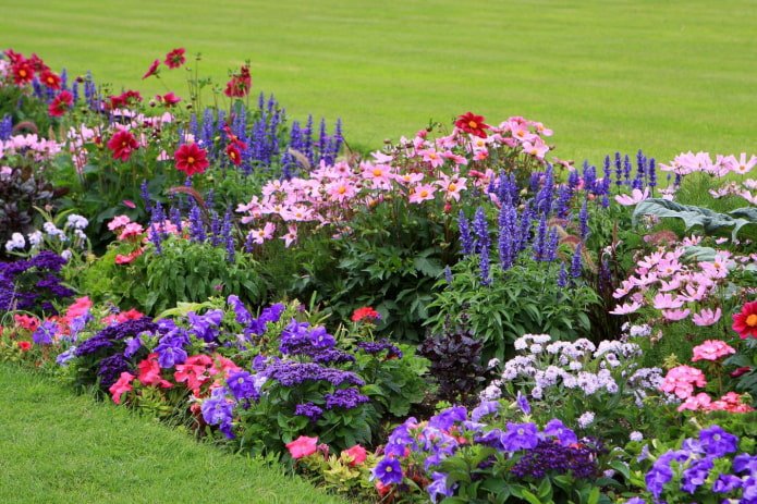 a multi-level flowerbed of annuals