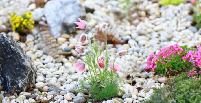 spring rock garden