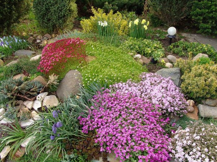 summer rockery