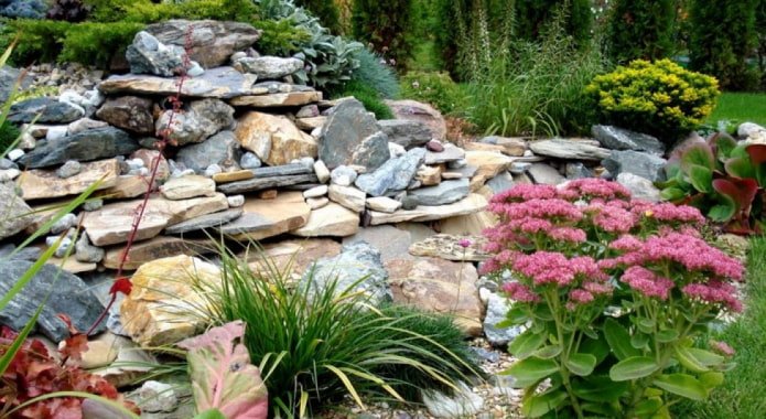 autumn rockery