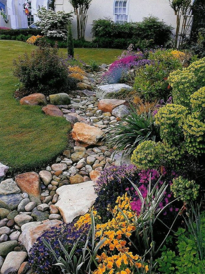 dry stream with flowers