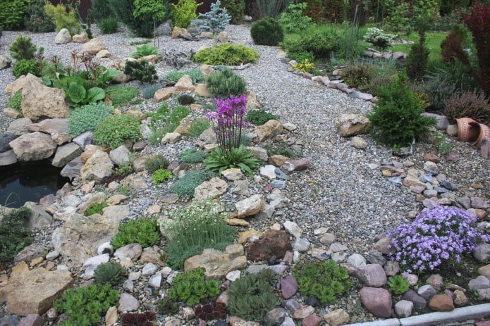 dry stream with landscaping