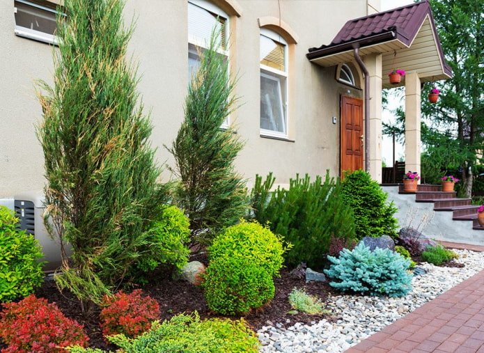 Multi-tiered flowerbed of conifers