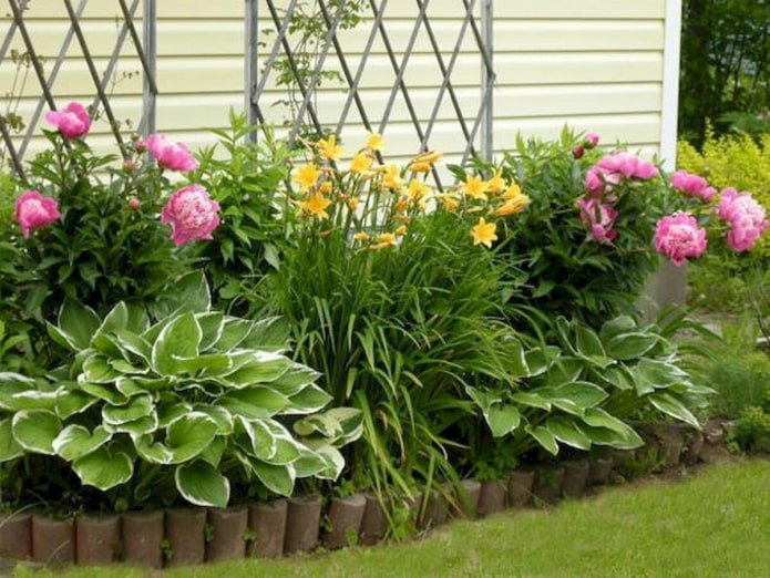 Flowerbed with peonies