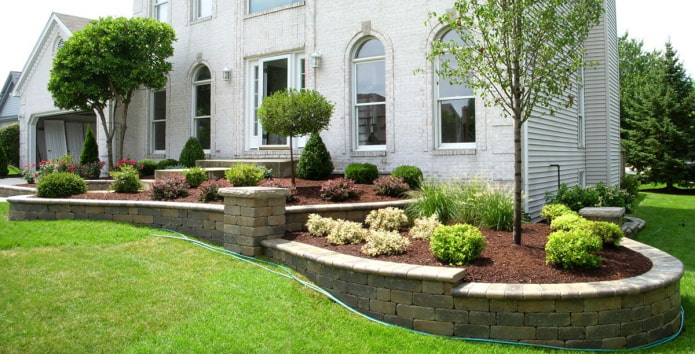 Topiary near the house