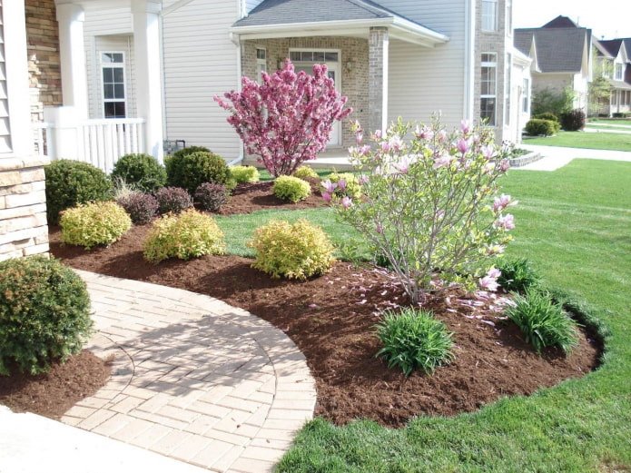 Decoratively trimmed bushes