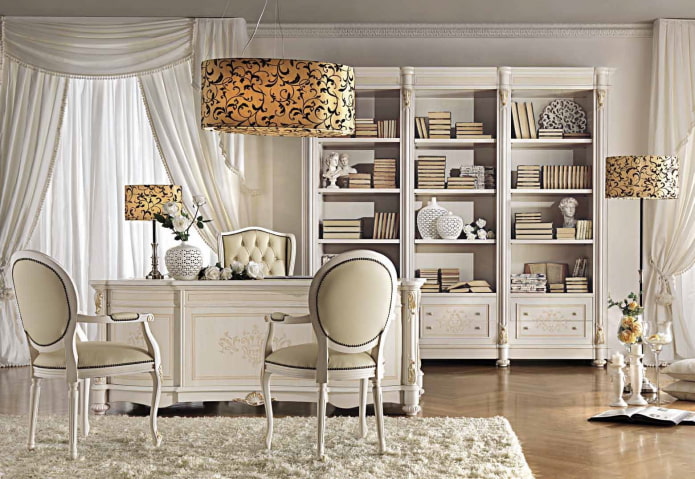 bookshelves in the interior in the classical style
