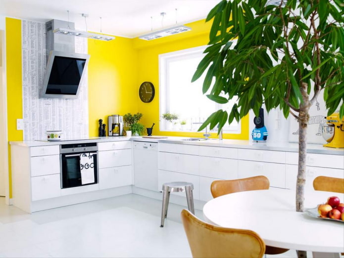 bright walls of the kitchen