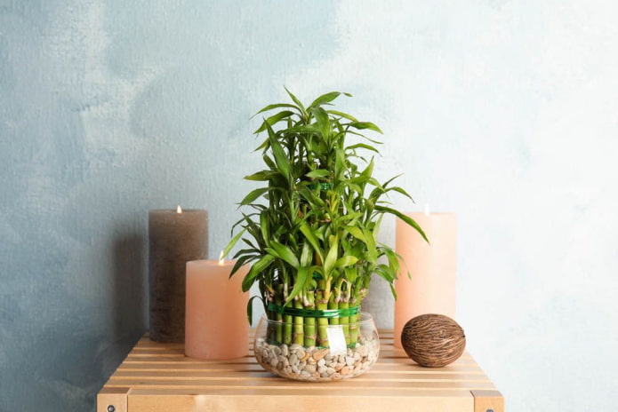 decorative composition with candles