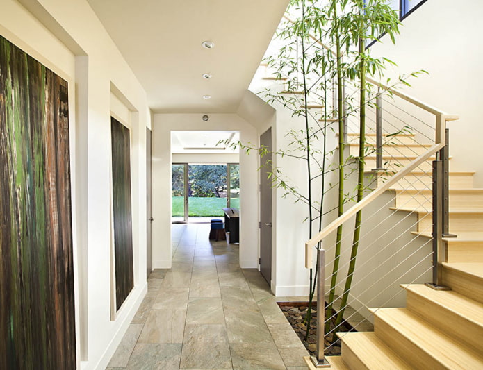 tall bamboo
