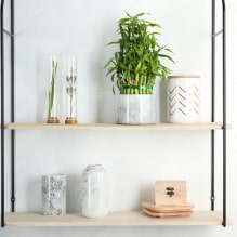 How to care for bamboo at home?-3