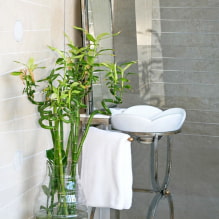 How to care for bamboo at home?-5