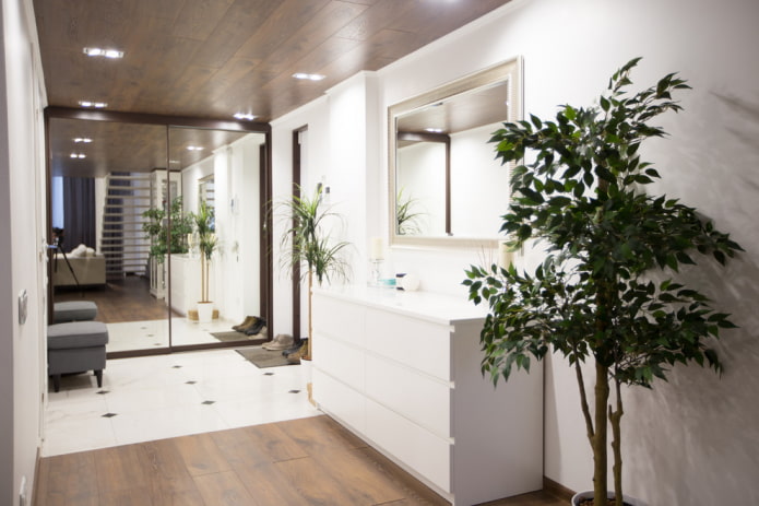 chest of drawers with mirror in the interior of the hallway