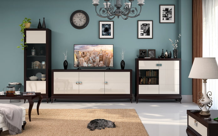 Storage system in the living room