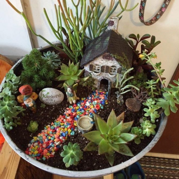 succulents with figurines