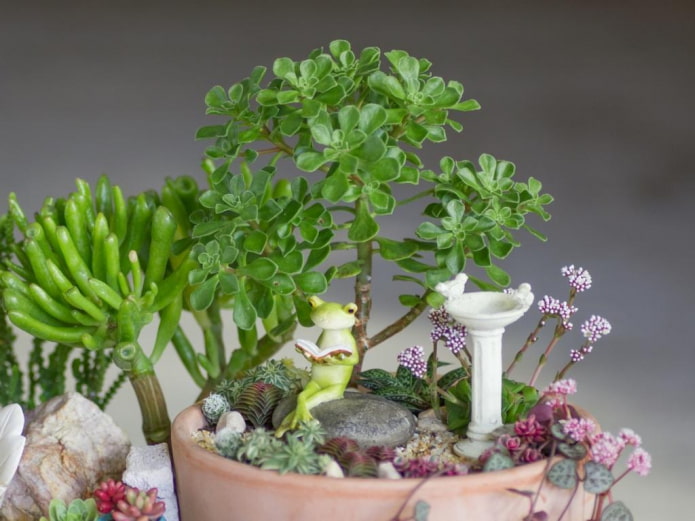 succulents with figurines