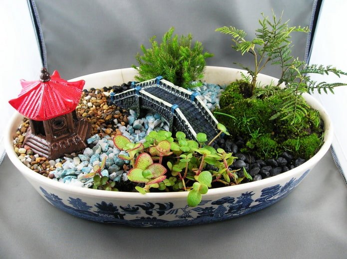 succulents with figurines