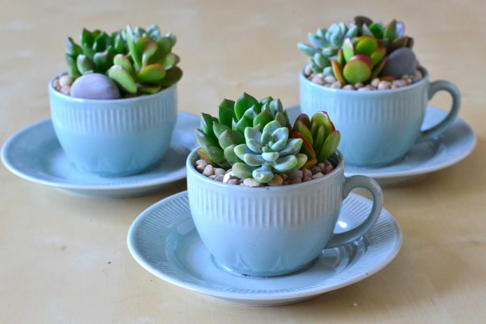 composition of cups