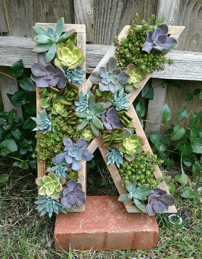painting from succulents