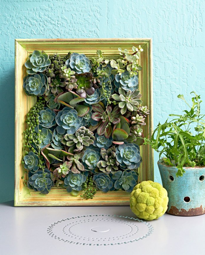 painting from succulents