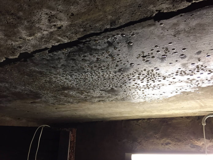 Condensation in the cellar