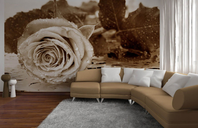 3D photo wallpaper