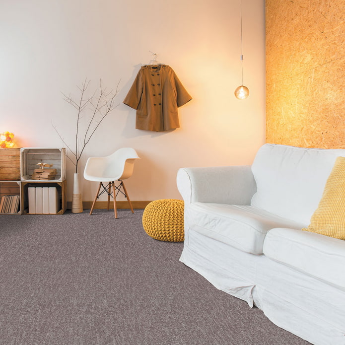 carpet on the floor in the living room