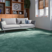 Carpet for the home - recommendations for choosing-5