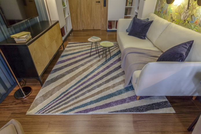 Carpet in the living room interior