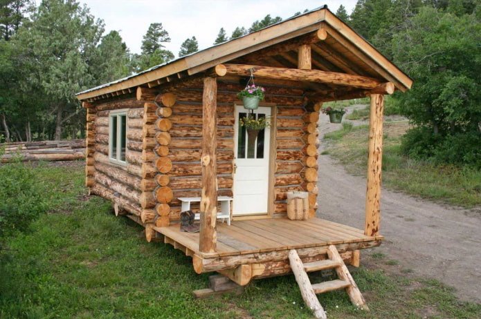 hut in a country style