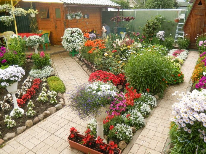 Garden on the plot