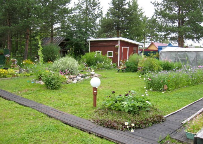 Summer cottage with paths made of planks