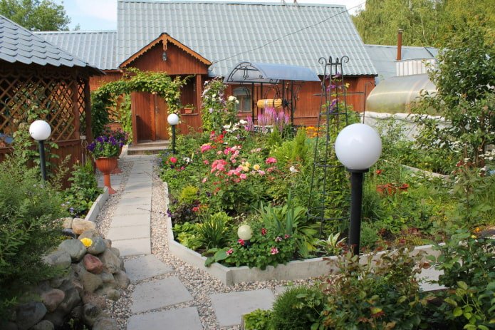 A small garden with flowers