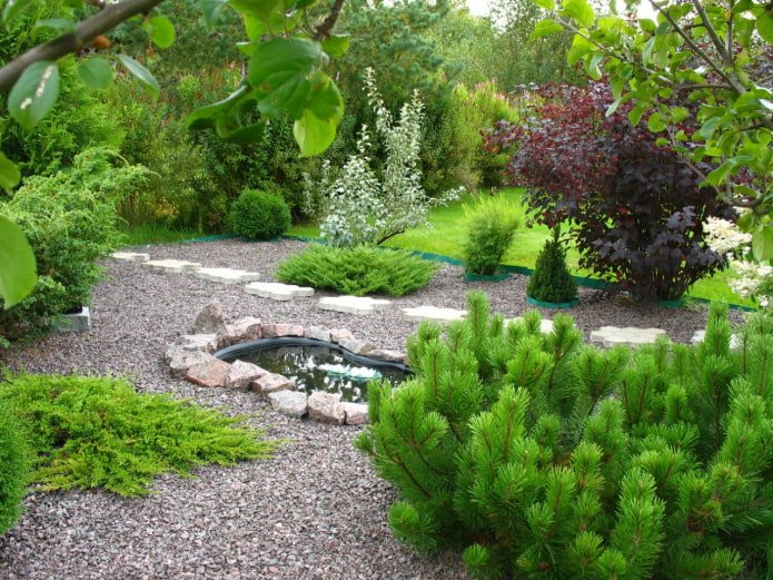 A plot with conifers
