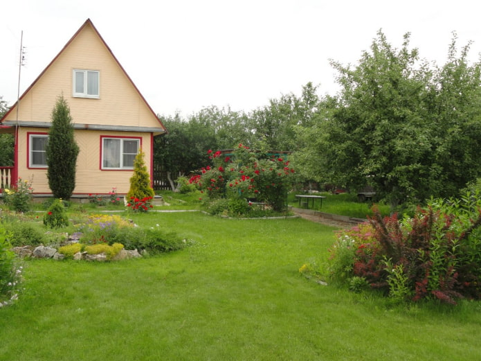 Lawn and House