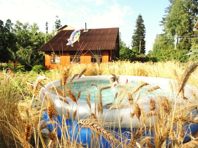 Pool in the field