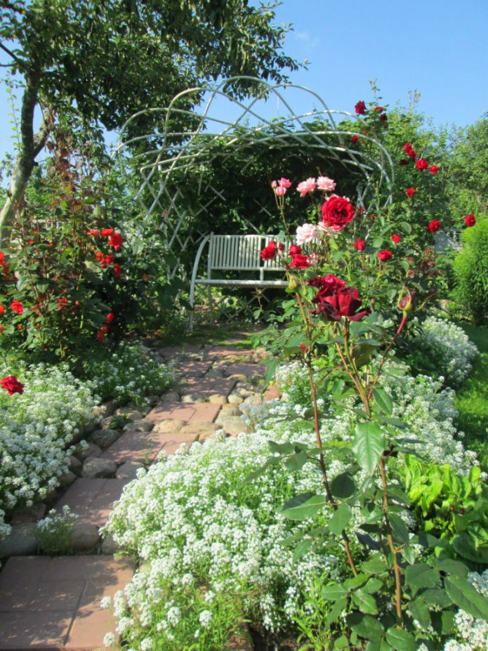 Romantic corner