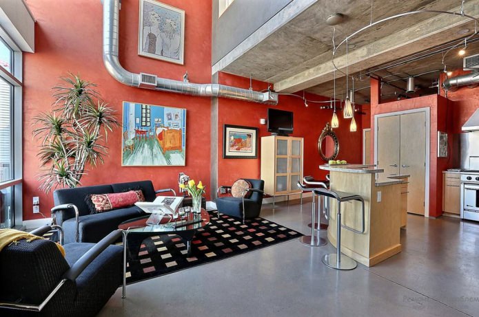 kitchen-living room in loft style