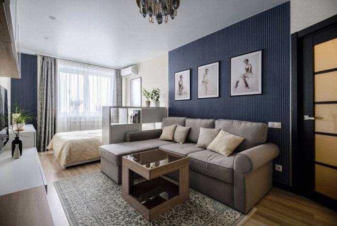 sofa with a bed in a one-room apartment