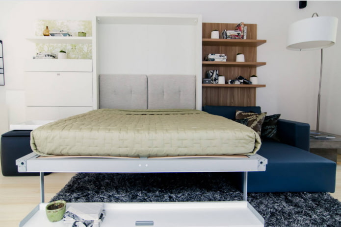 wardrobe bed with sofa in the interior